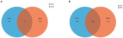 Dynamic changes in the yak rumen eukaryotic community and metabolome characteristics in response to feed type